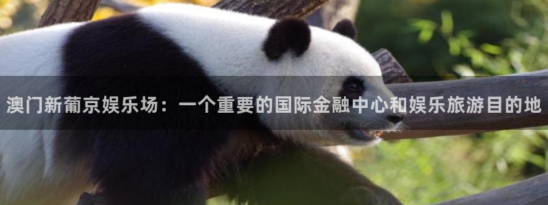 新航娱乐